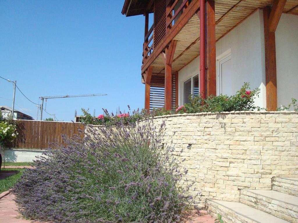 Pension Oasis Costinesti Bagian luar foto